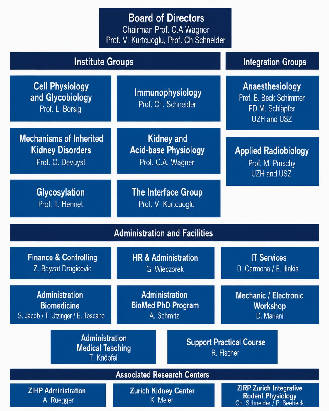 Organization Chart